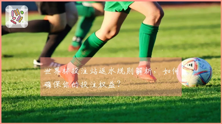 世界杯投注站返水规则解析，如何确保你的投注权益？