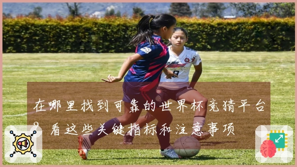 在哪里找到可靠的世界杯竞猜平台？看这些关键指标和注意事项