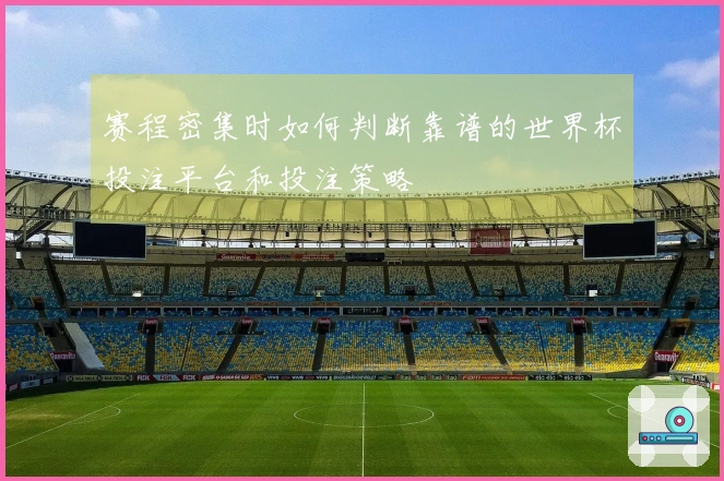 赛程密集时如何判断靠谱的世界杯投注平台和投注策略