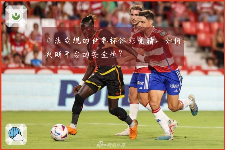 合法合规的世界杯体彩竞猜，如何判断平台的安全性？