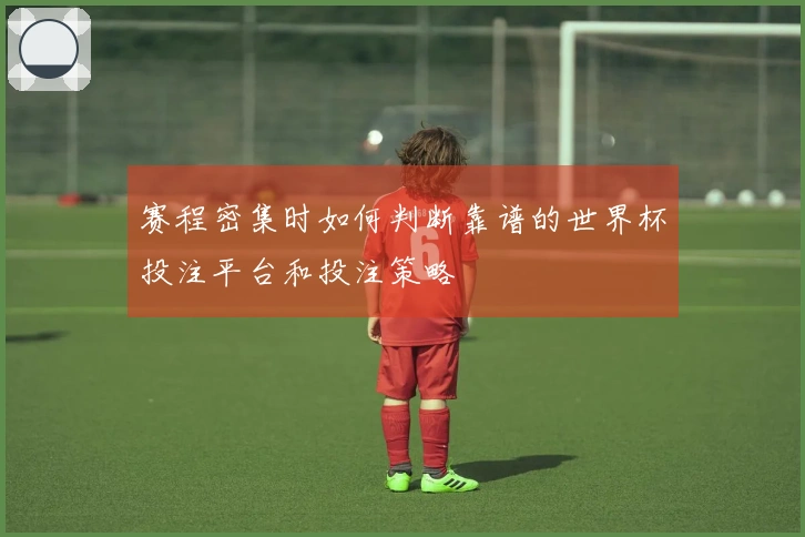 赛程密集时如何判断靠谱的世界杯投注平台和投注策略