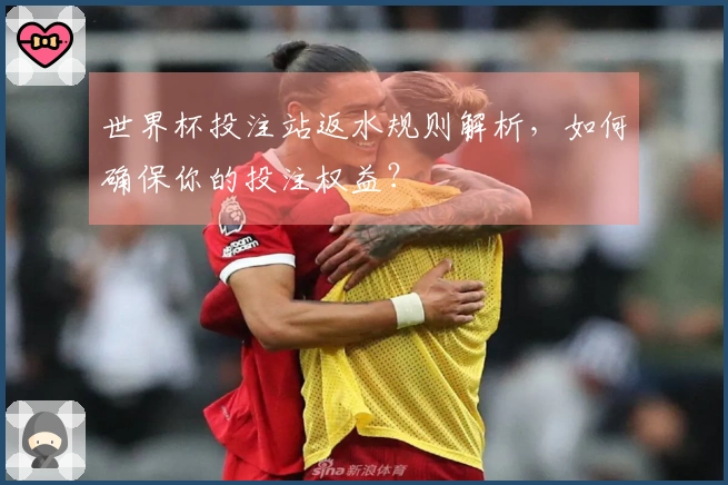 世界杯投注站返水规则解析,如何确保你的投注权益?