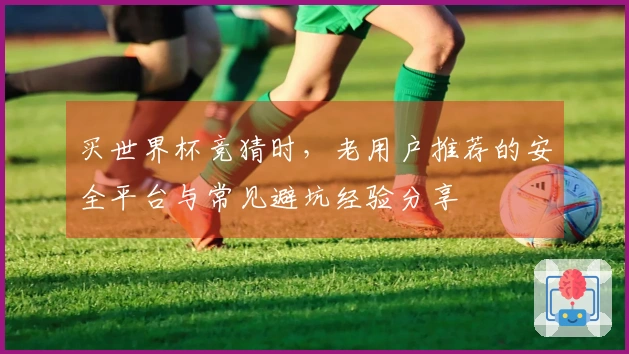 买世界杯竞猜时，老用户推荐的安全平台与常见避坑经验分享