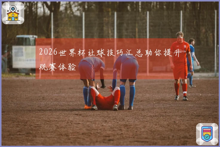 2026世界杯让球技巧汇总助你提升观赛体验